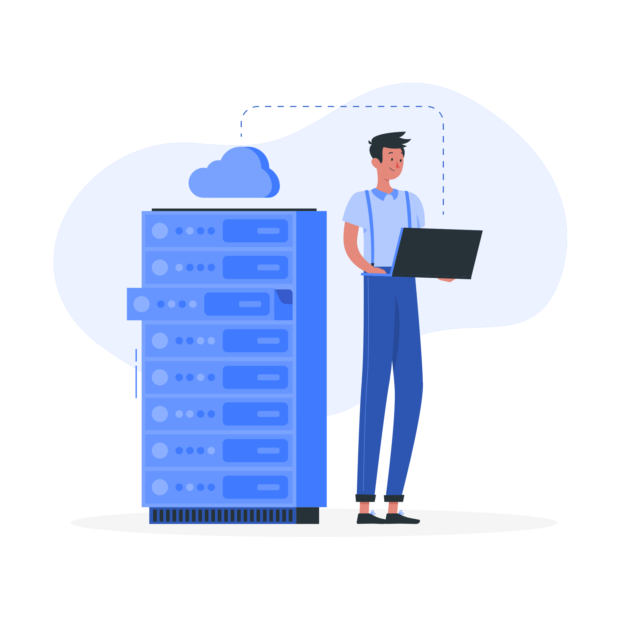 Web Hosting and Server Management